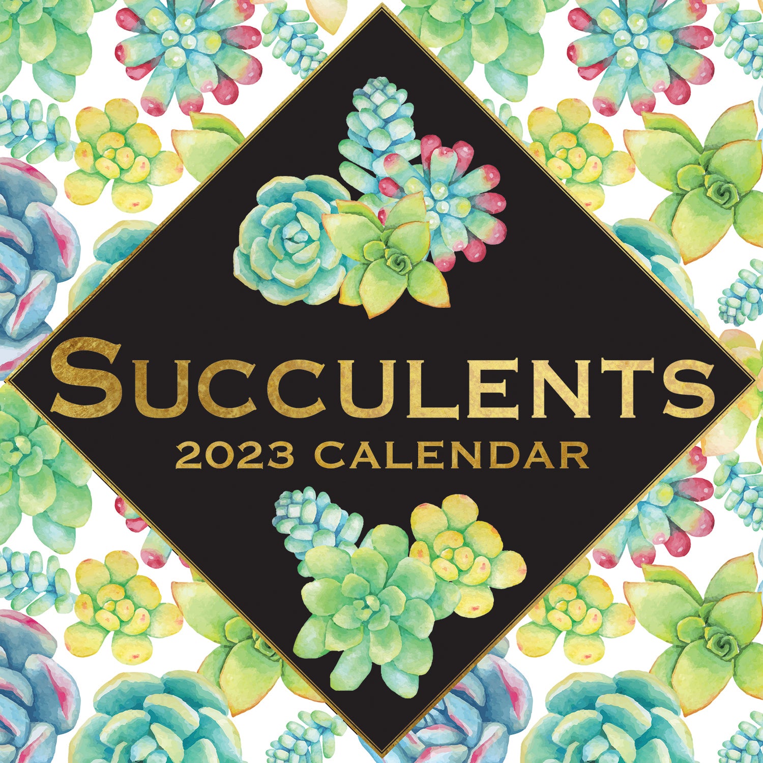 Succulents - 2023 Square Wall Calendar 16 Months Arts Planner Xmas New Year Gift - Zmart Australia