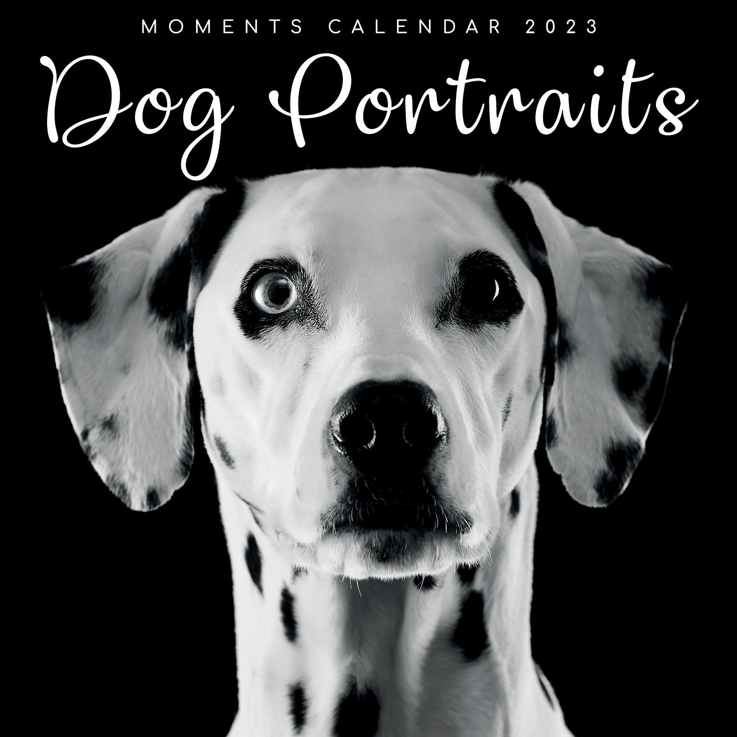 Dog Portraits - 2023 Square Wall Calendar 16 Months Black & White Planner Gift - Zmart Australia