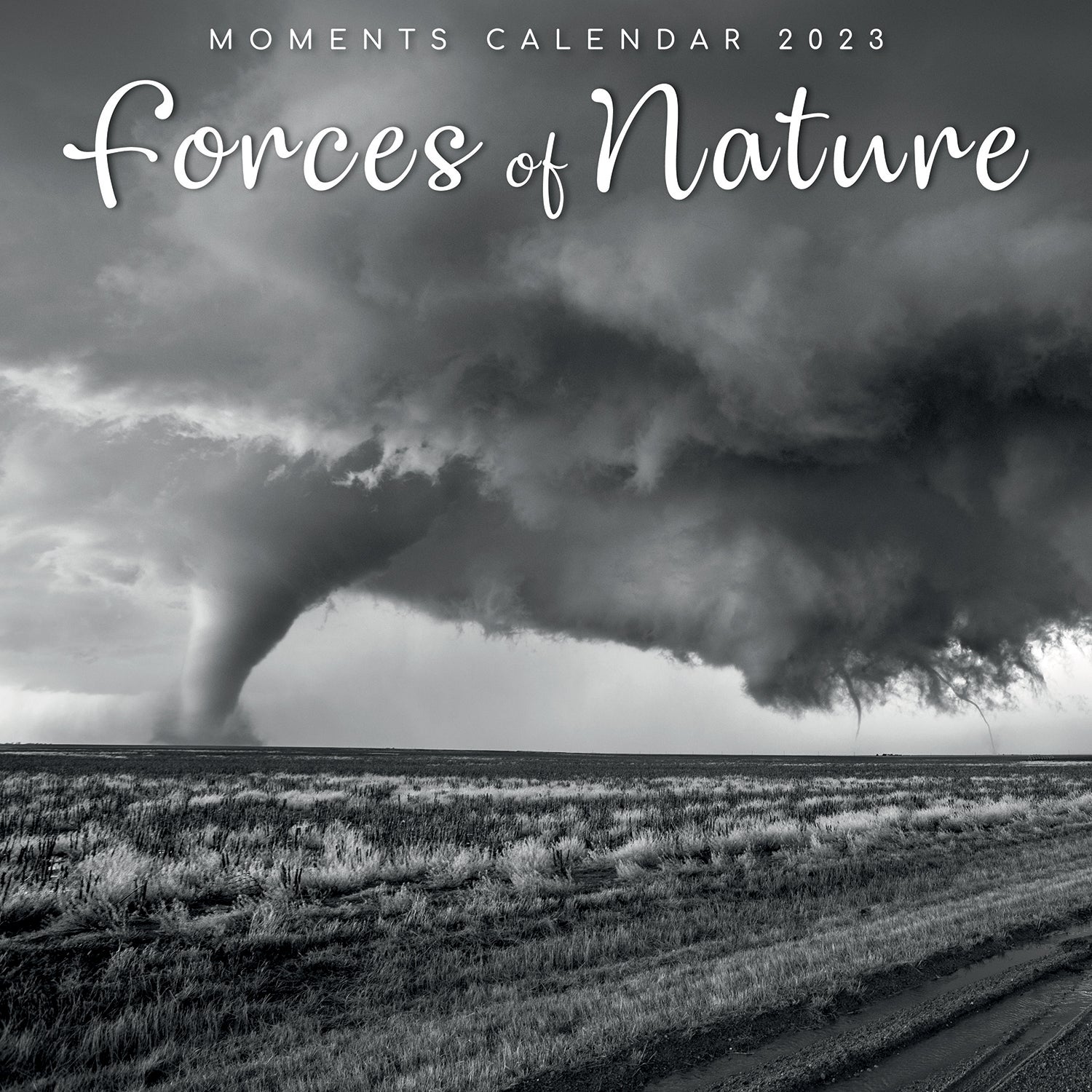 Forces of Nature - 2023 Square Wall Calendar 16 Month Black & White Planner Gift - Zmart Australia