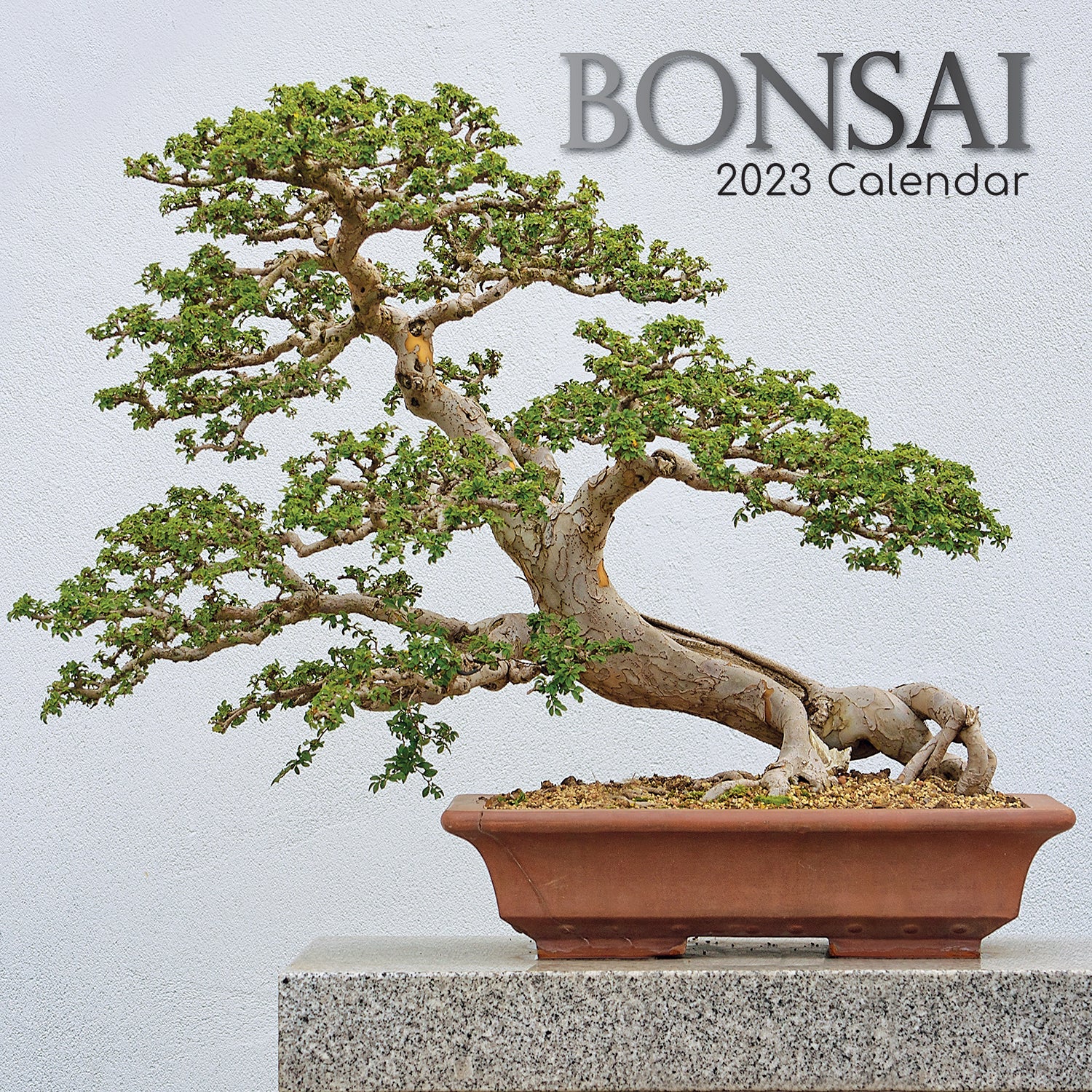Bonsai 2023 Square Wall Calendar 16 Month Floral Planner Christmas New Year Gift - Zmart Australia