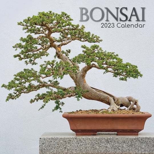 Bonsai 2023 Square Wall Calendar 16 Month Floral Planner Christmas New