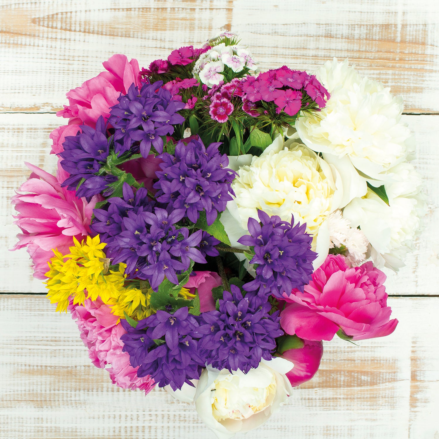 Floral Collection 2023 Square Wall Calendar 16Month Flower Planner New