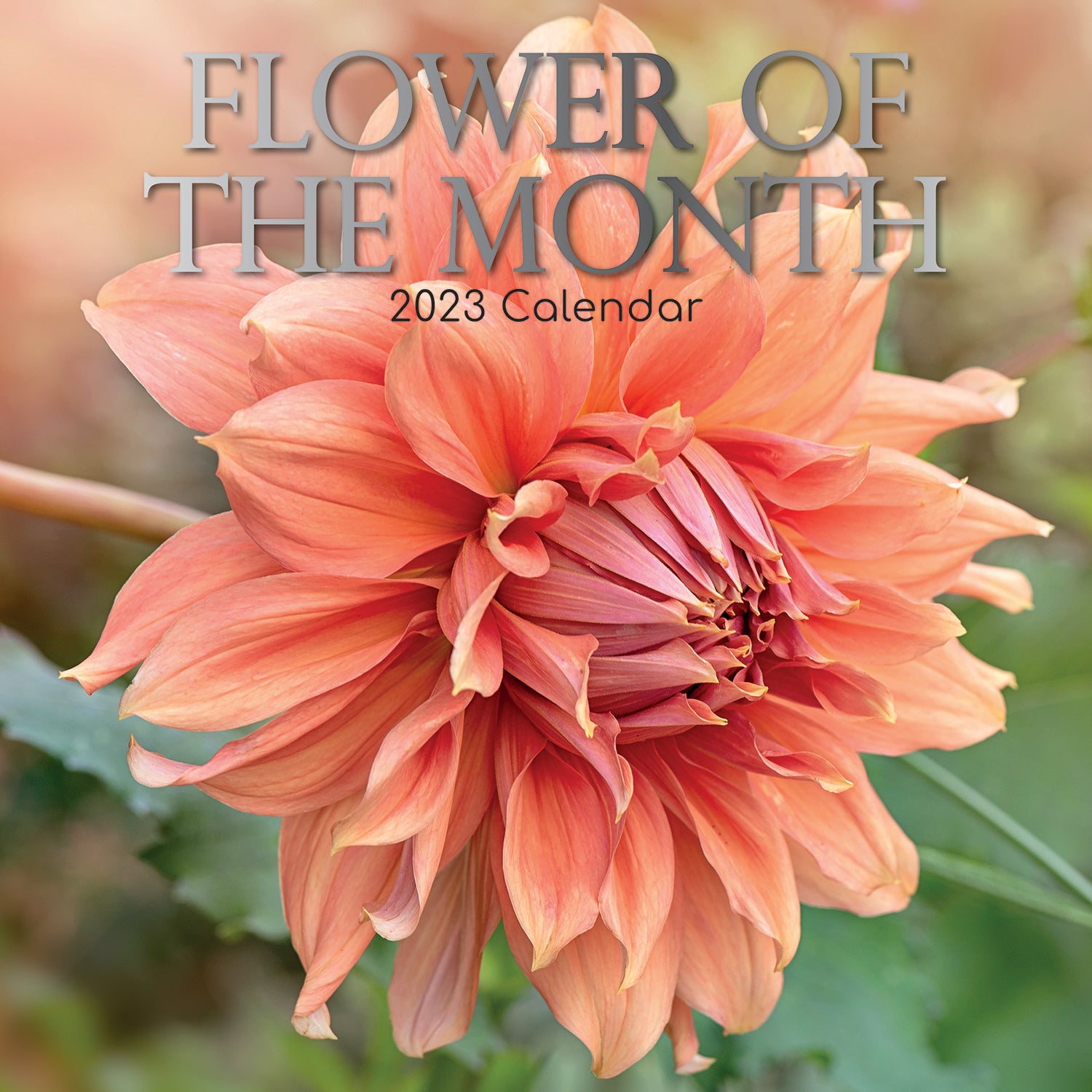 Flower of the Month - 2023 Square Wall Calendar 16 Months Floral Planner Gift - Zmart Australia