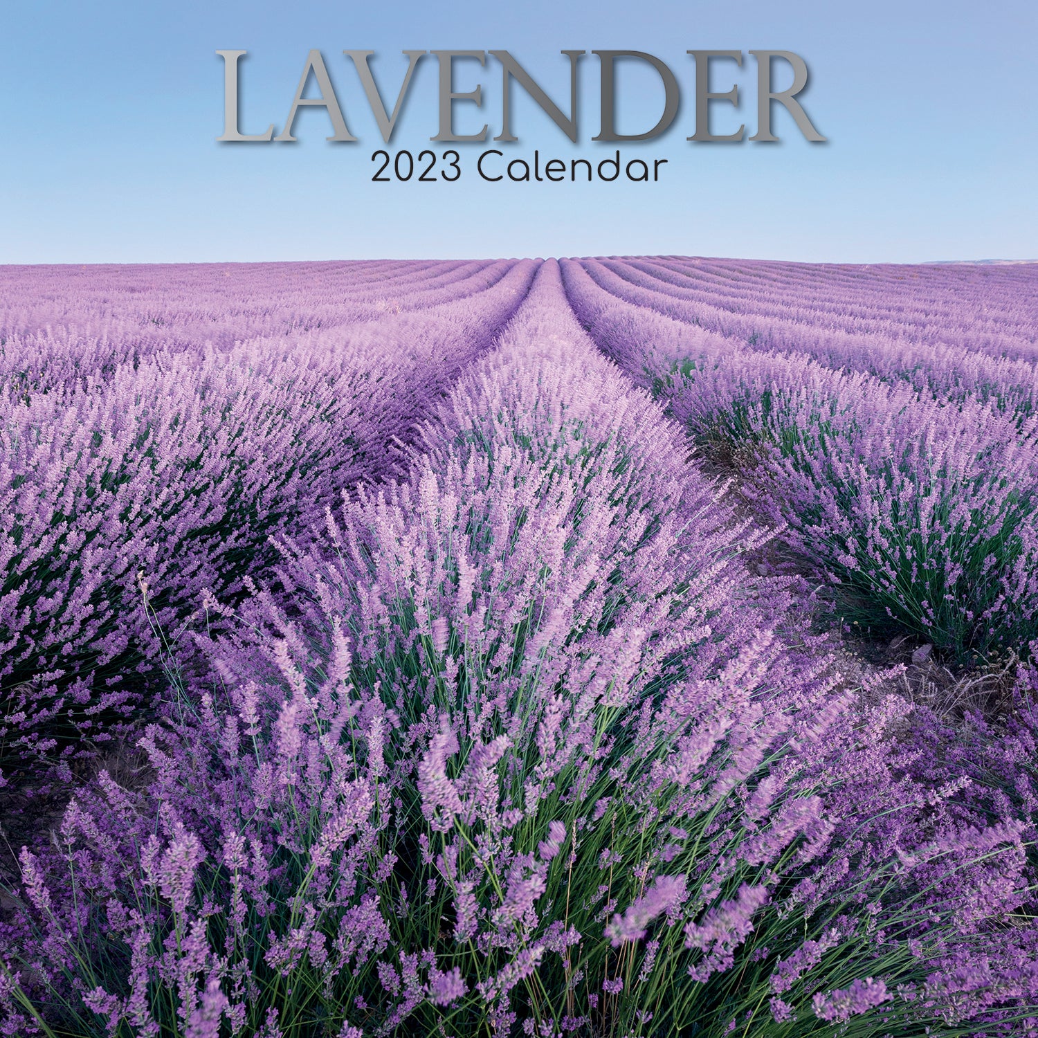 Lavender 2023 Square Wall Calendar 16 Months Floral Flower Planner New