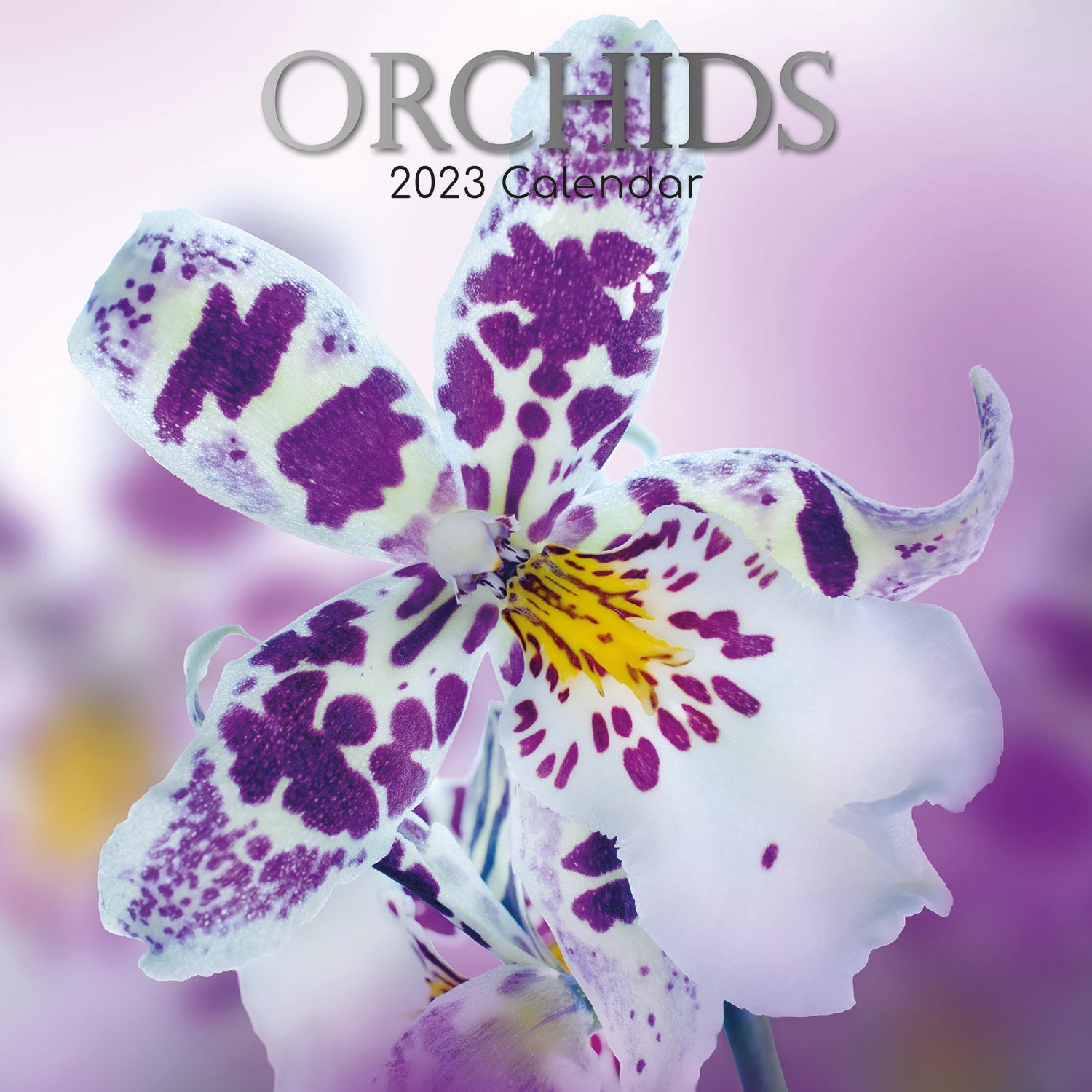 Orchids 2023 Square Wall Calendar 16Month Floral Planner Christmas New Year Gift - Zmart Australia