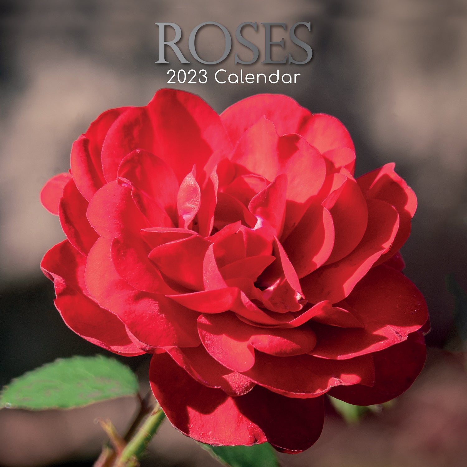 Roses 2023 Square Wall Calendar 16 Months Floral Planner Christmas New Year Gift - Zmart Australia