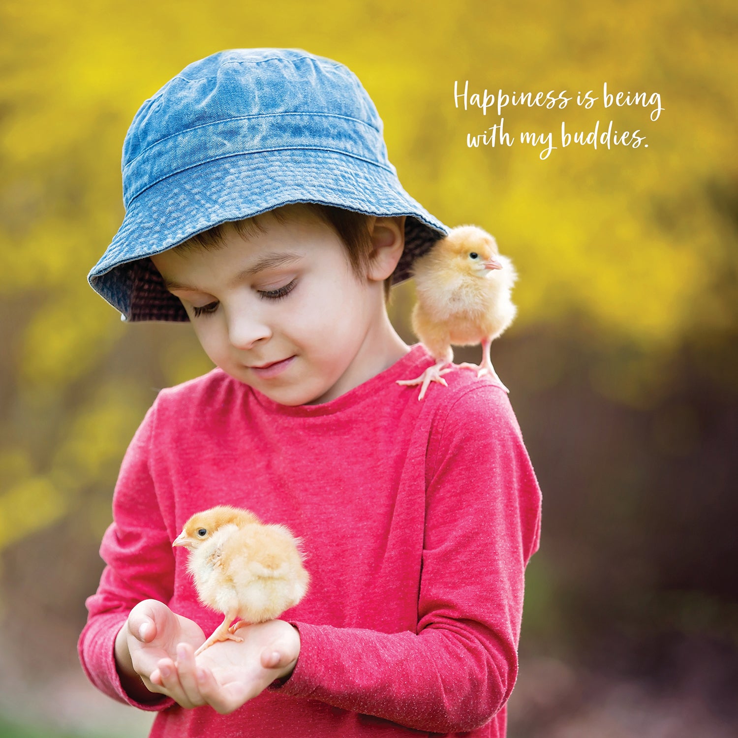 Best Buddies 2023 Square Wall Calendar 16 Months Lifestyle Planner New