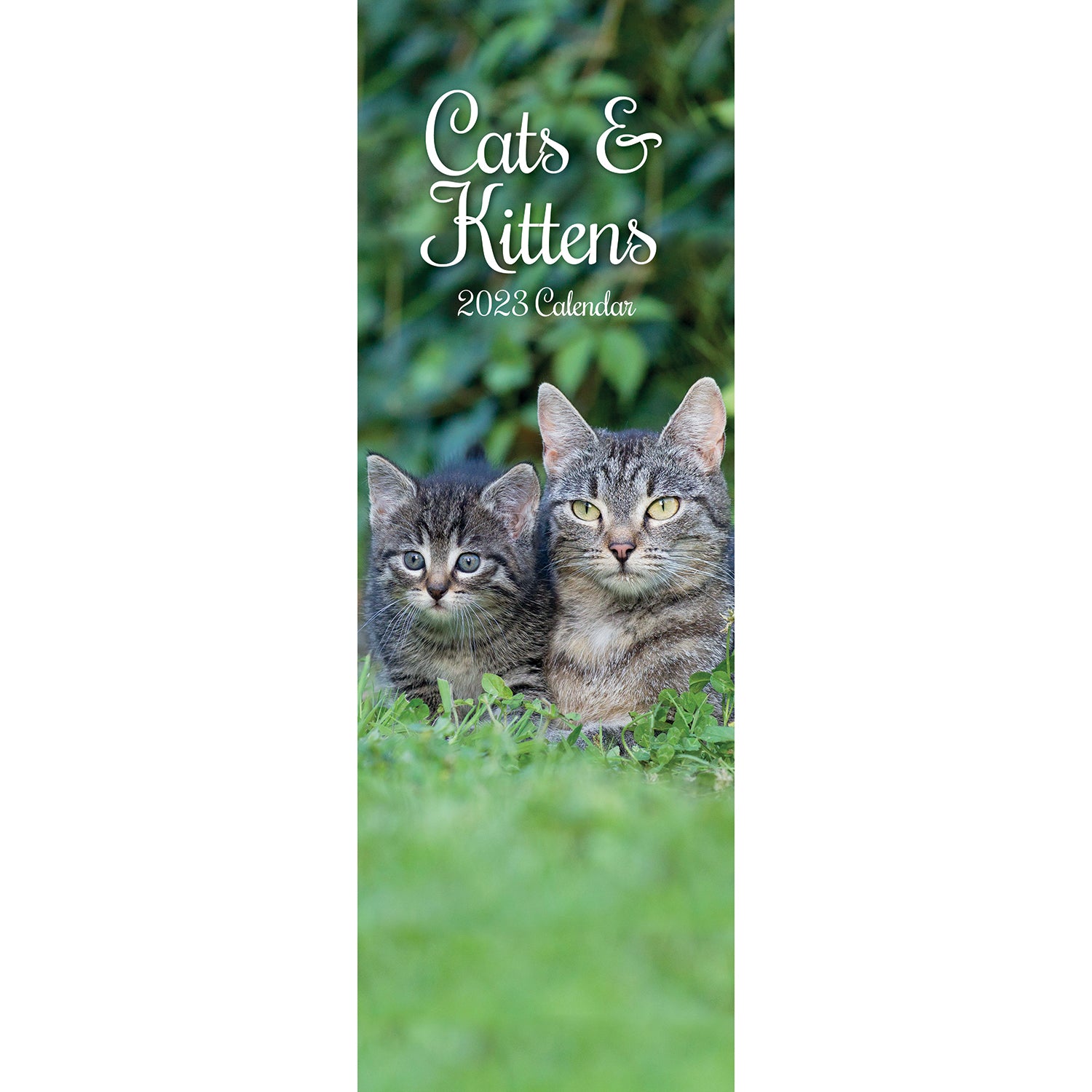 2023 Cats & Kittens - Slimline Slim Wall Calendar Hanging Planner New Year Gift - Zmart Australia