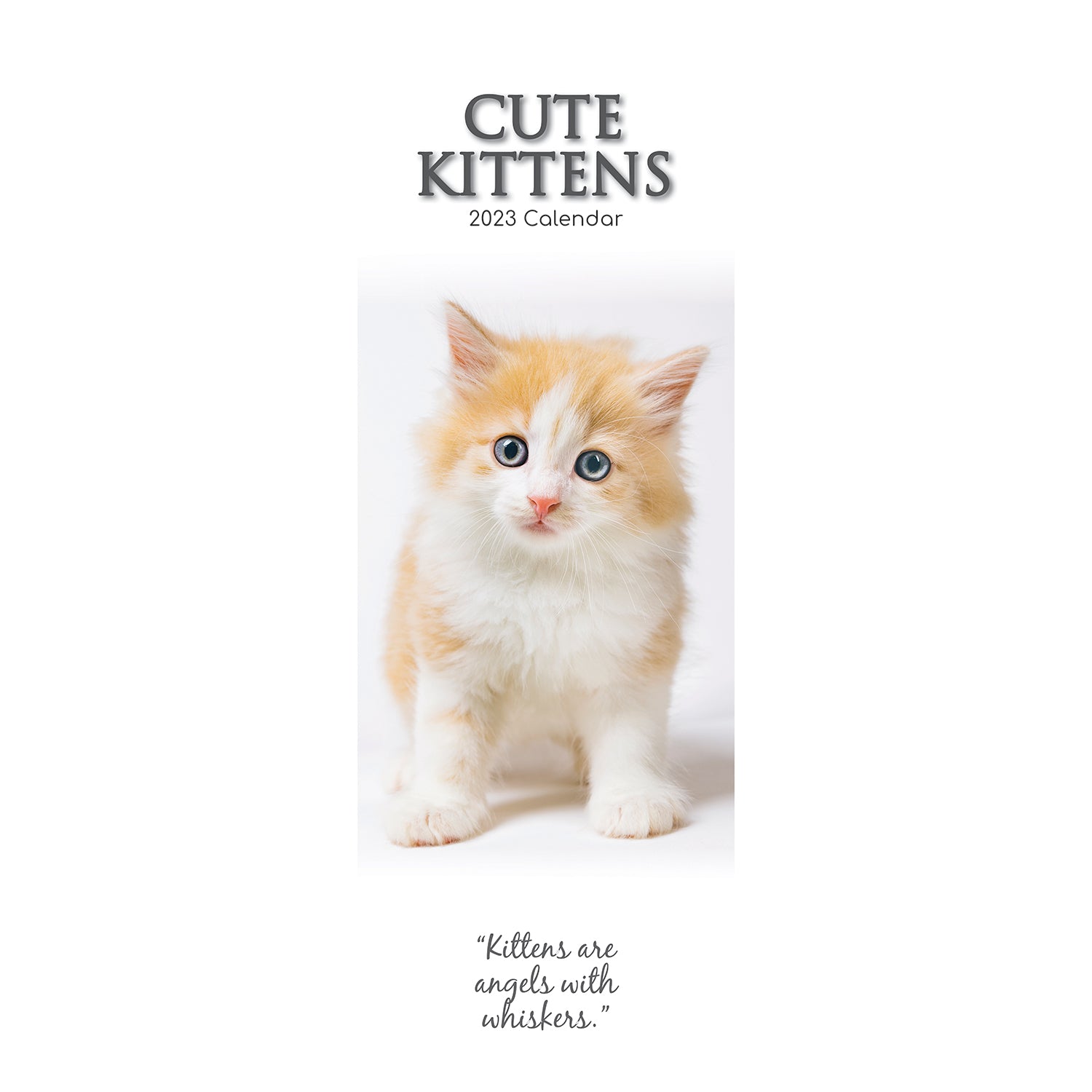 2023 Cute Kittens - Slimline Slim Wall Calendar Hanging Planner New Year Gift - Zmart Australia
