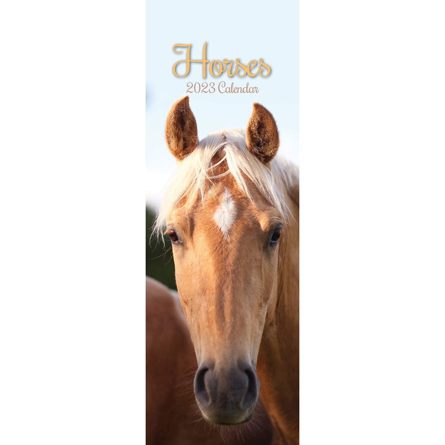 2023 Horses - Slimline Slim Wall Calendar Hanging Pets Animals Planner New Year - Zmart Australia
