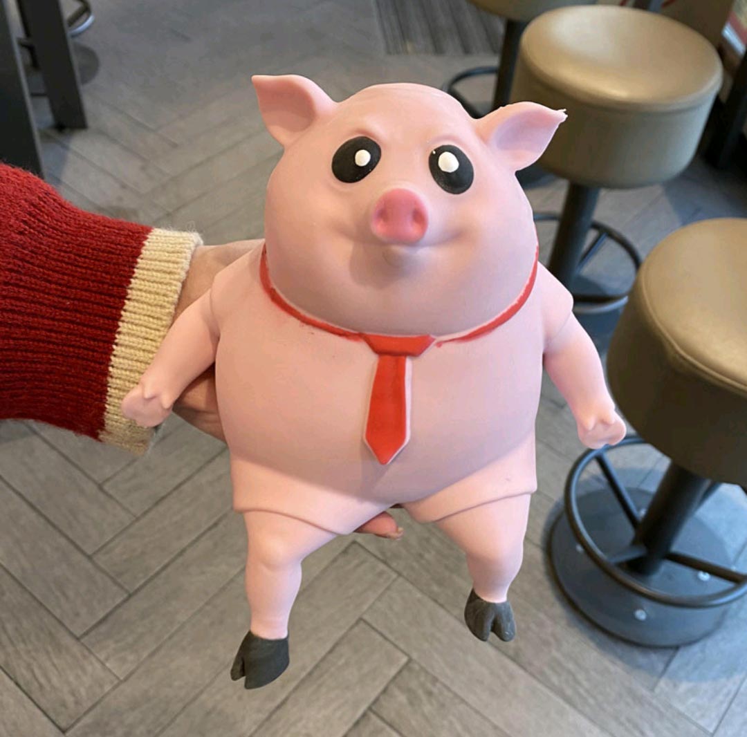 Yitoto™ 減圧豚