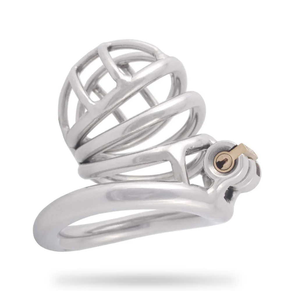 Stainless Steel Chastity Device Stealth Lock Adults Chastity Cages
