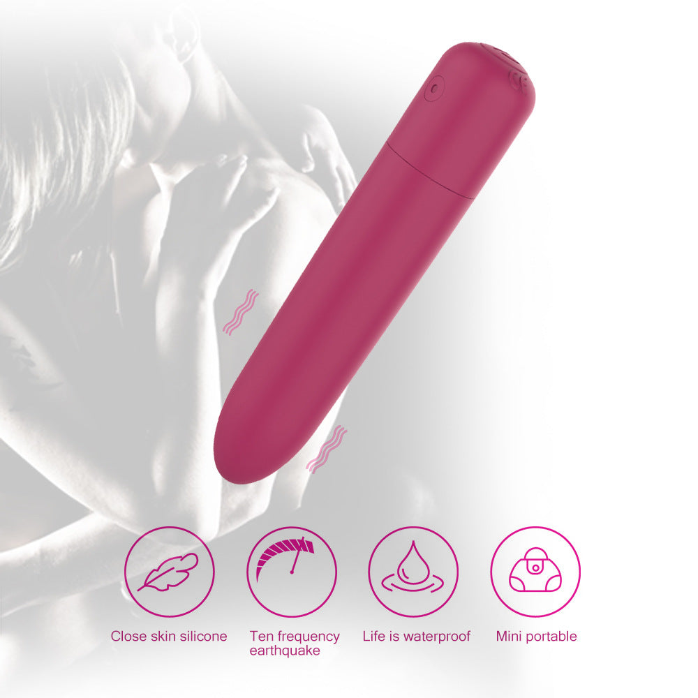 Rechargeable Bullet Mini Vibrator Female Masturbator