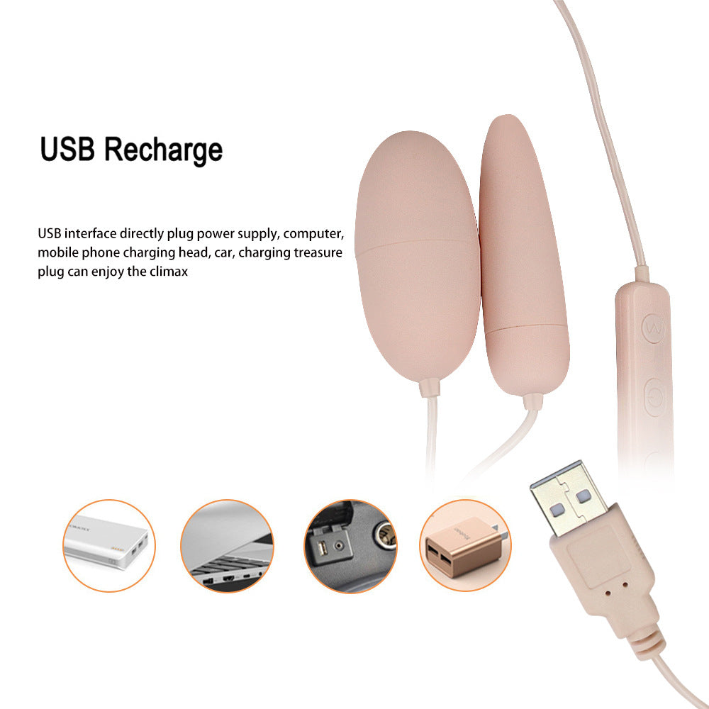 Dual Vibrator Remote Control Masturbation Massage Vibrator