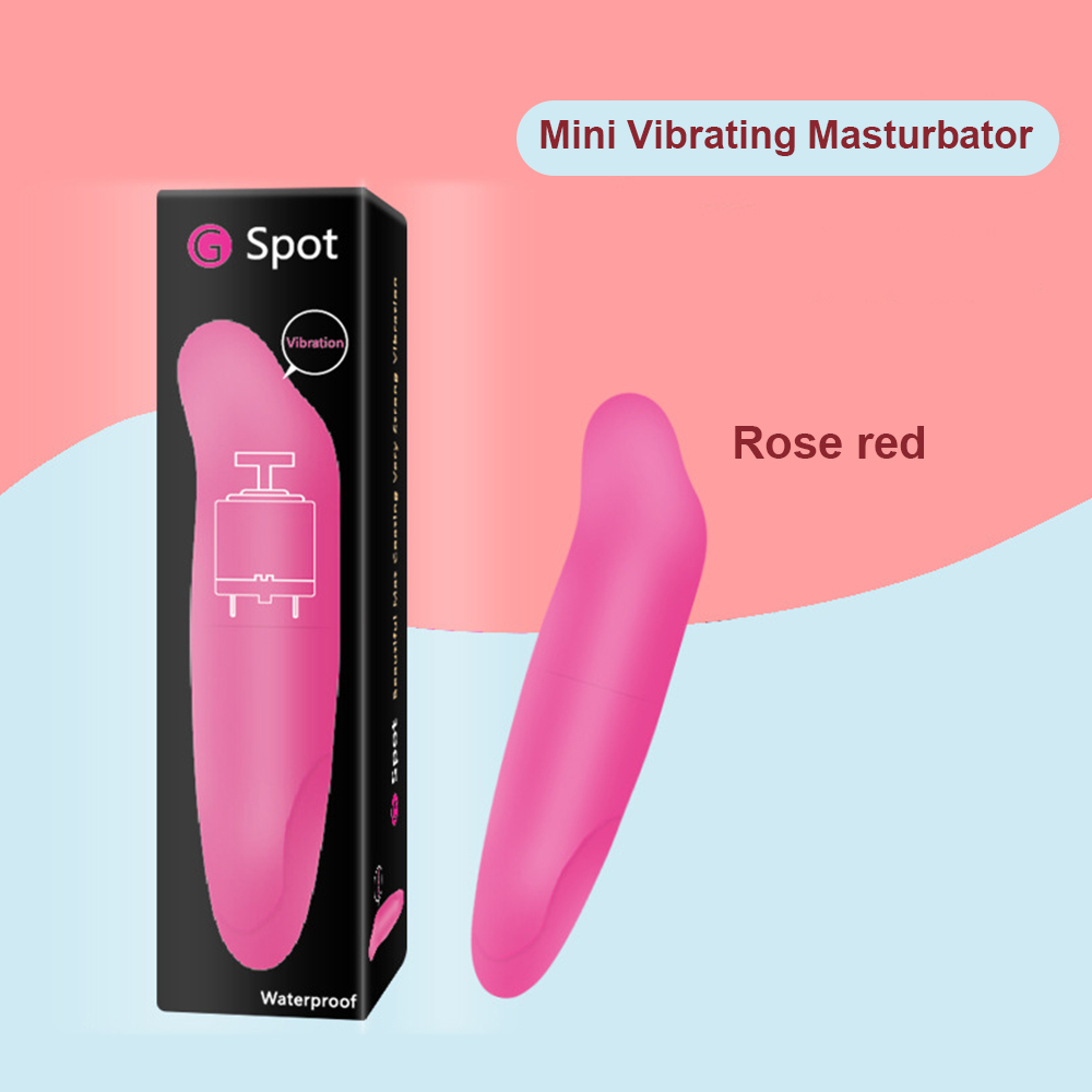 Cheap Free Promotion Samples Beautiful Mini Dolphin Female Sex Toy Vibrator For Women