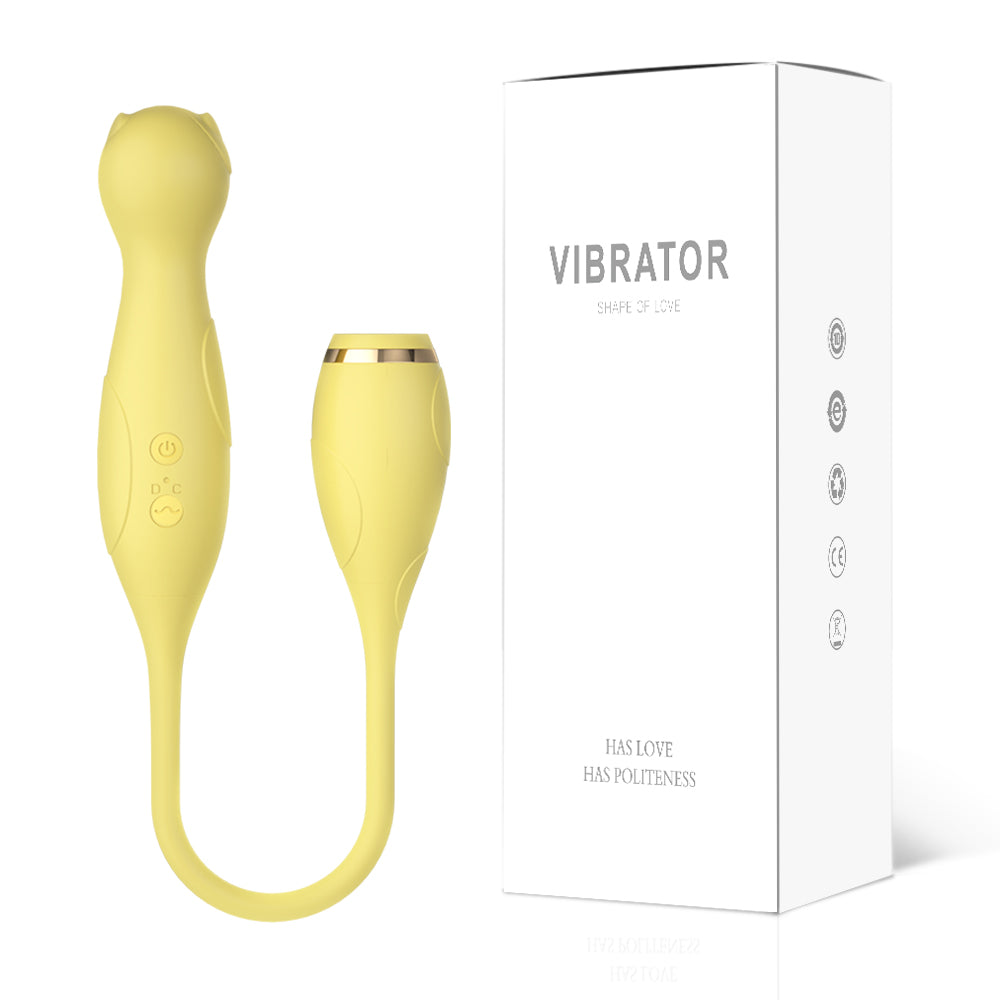 Double Head Vibration AV Vibrator