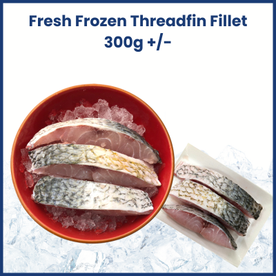 Fresh Frozen Threadfin Fillet (300g +/-) 新鲜午鱼肉
