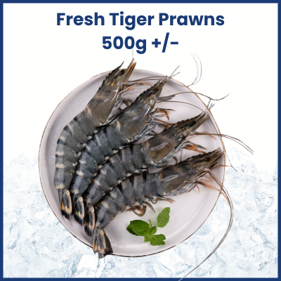 Fresh Tiger Prawns (500g +/-) 新鲜老虎虾