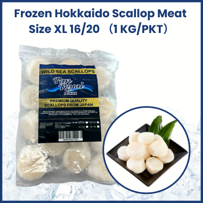 Frozen Hokkaido Scallop Meat XL 16/20 日本北海道带子