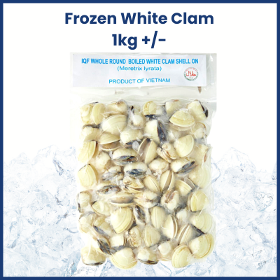 Frozen White Clam 1kg +/- 蛤蜊