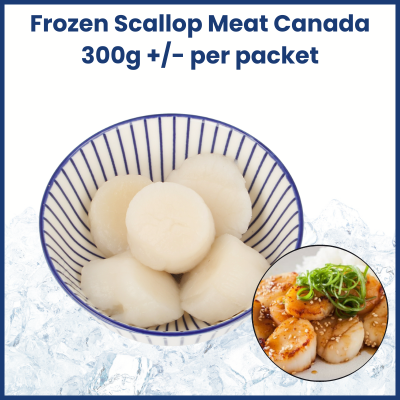Frozen Scallop Meat Canada 300g +/-