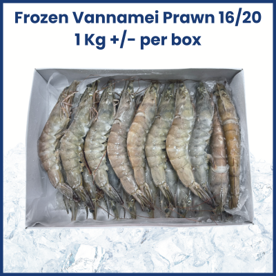 Frozen Vannamei Prawn 16/20 1KG +/-