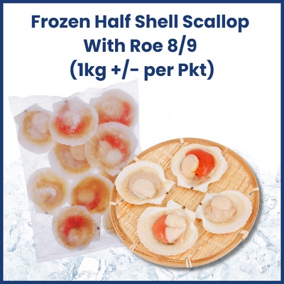 Frozen Half Shell Scallop 大扇贝 8/9 ( 7 - 9pcs)