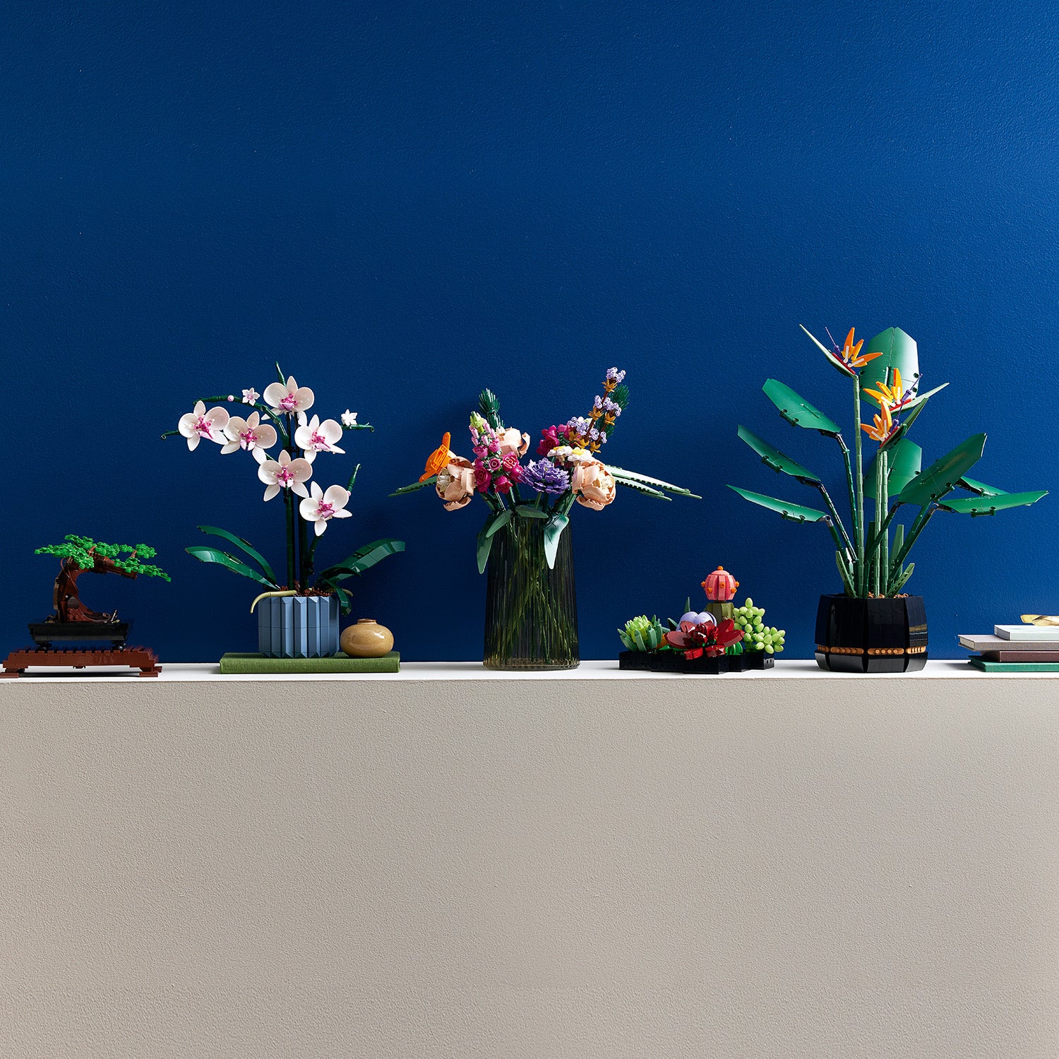 10311 Orchid