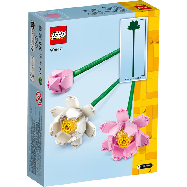 40647 Lotus Flowers