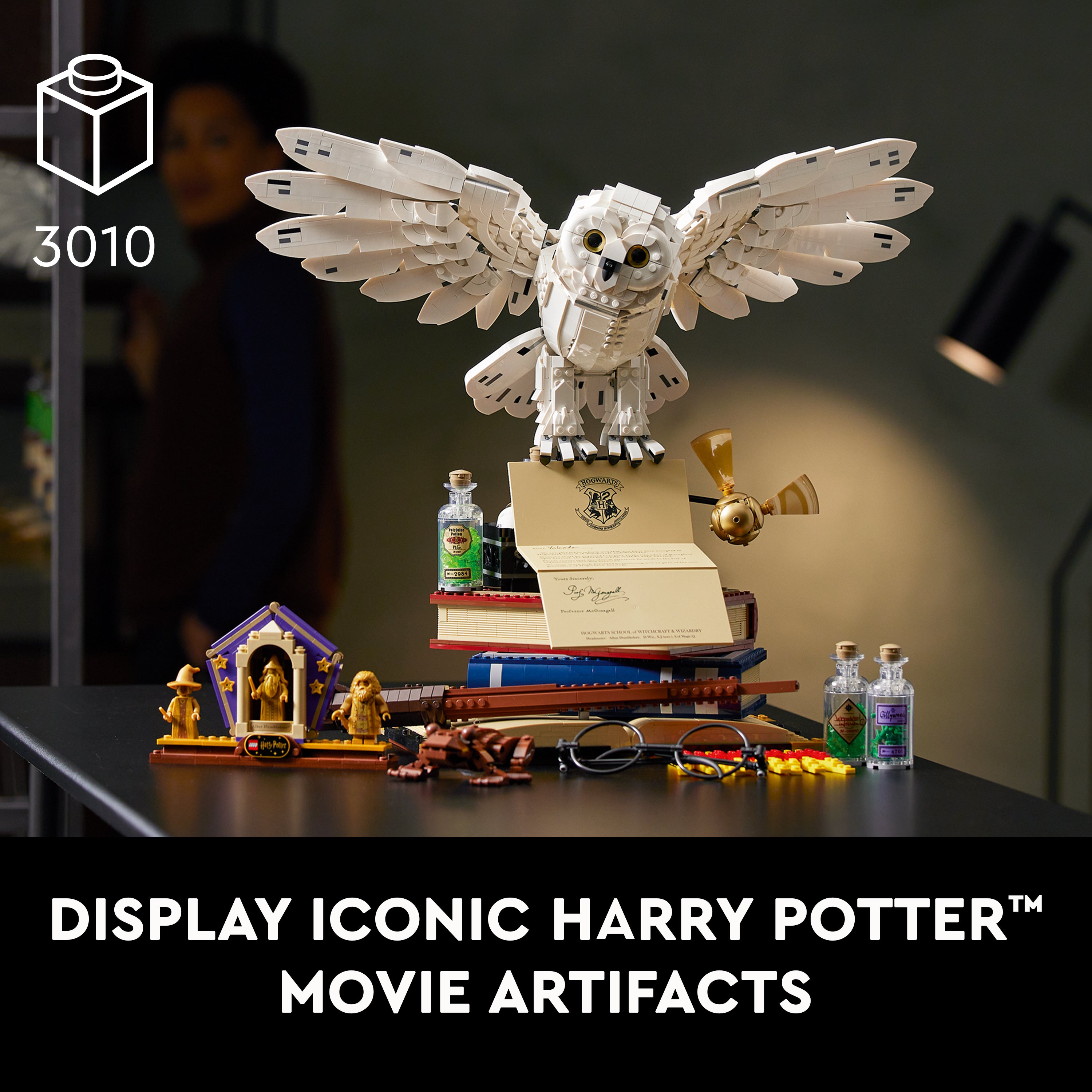 76391 Hogwarts™ Icons - Collectors' Edition