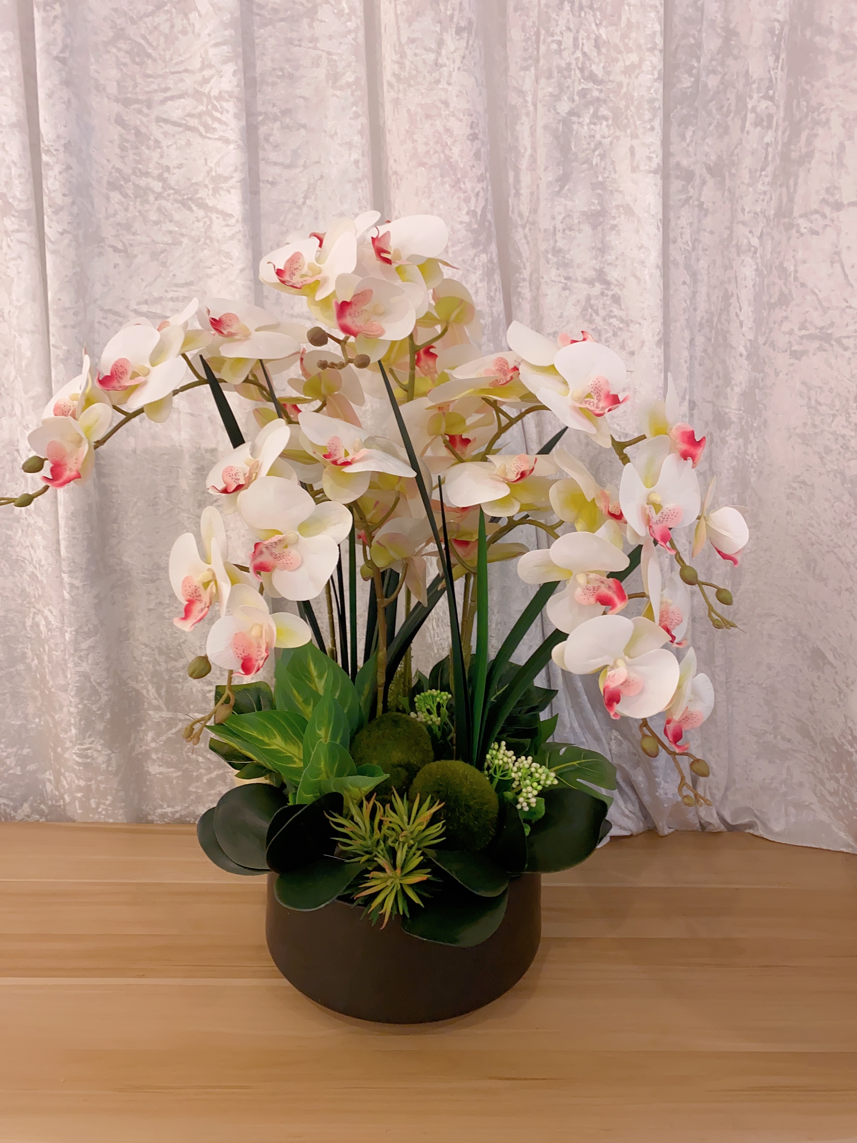 1. Orchid Oasis - White