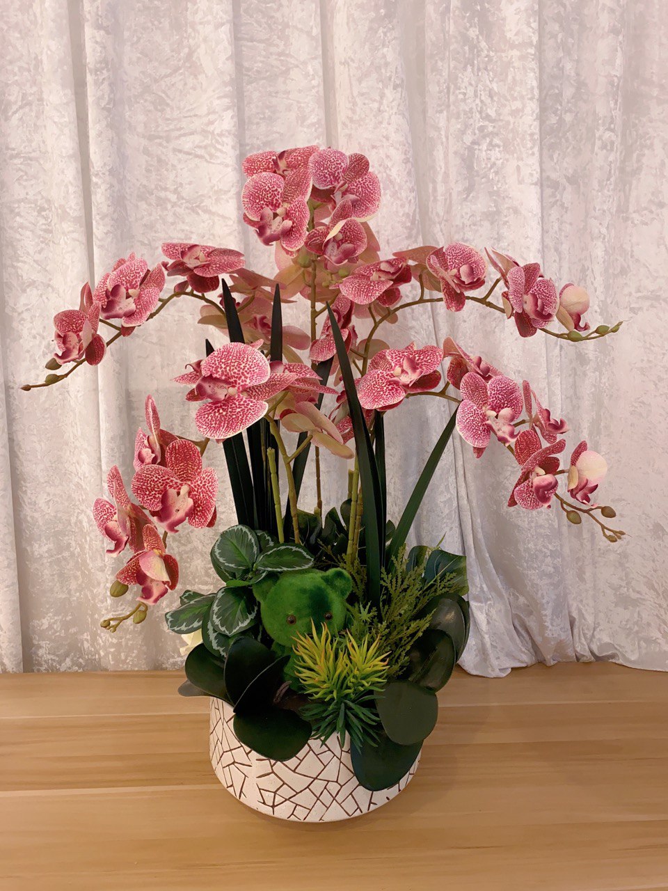 Chic Orchids 