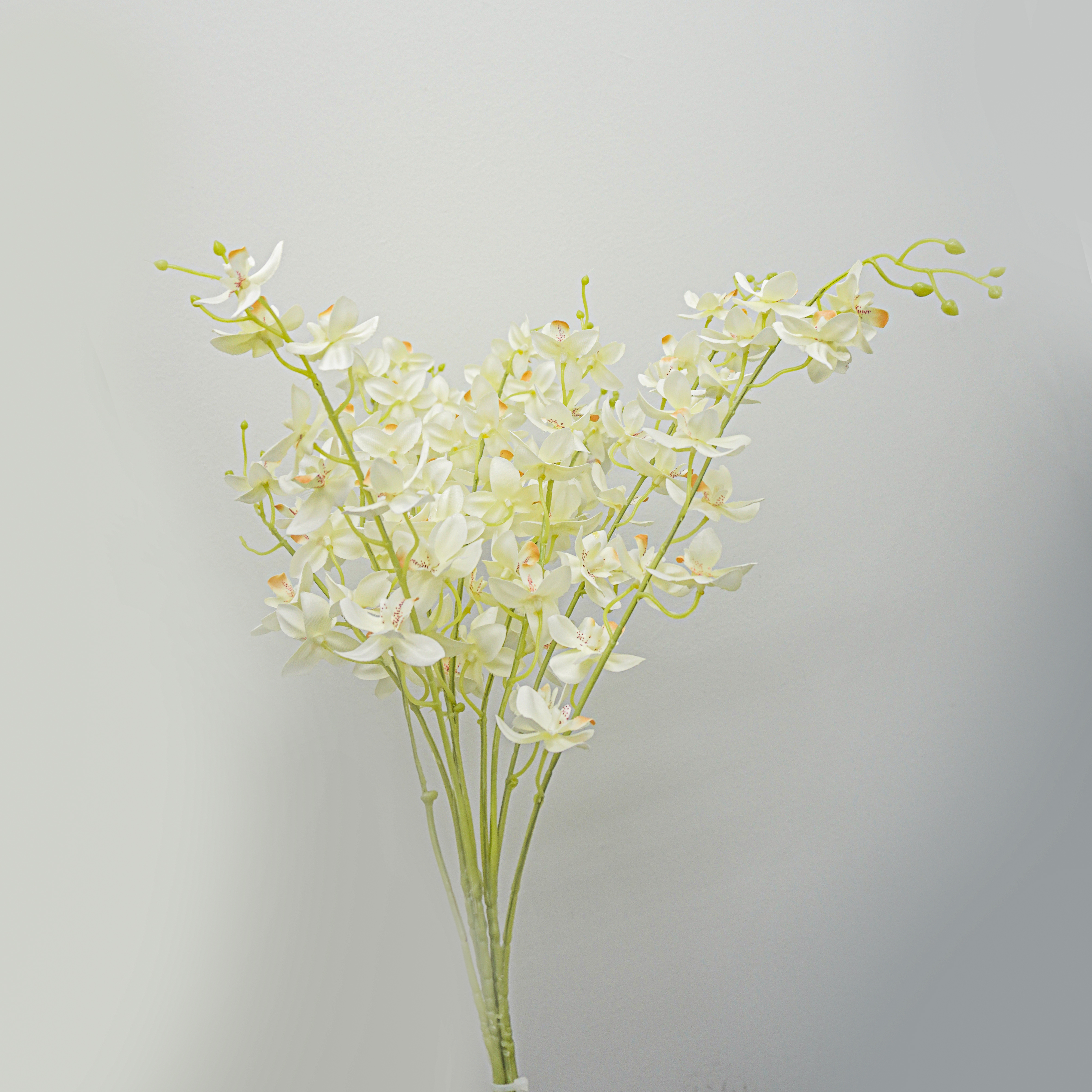 Zoka, Oncidium Orchid 87cm*3