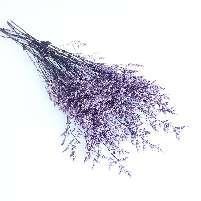 Hana, Limoniums Purple