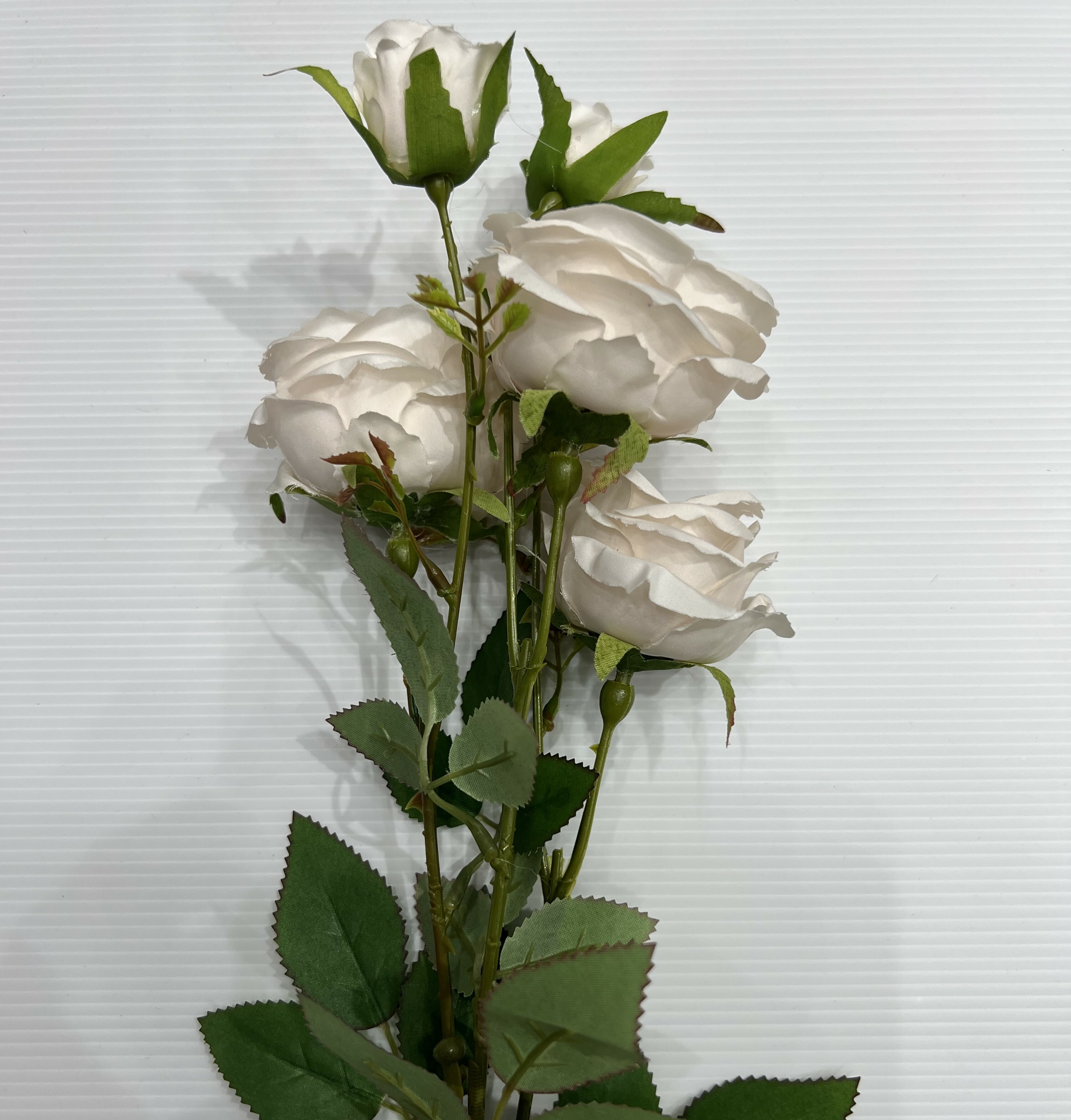 Zoka, Rose 66cm-Voilet 