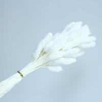Hana, Gemstone Grass White