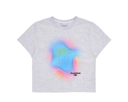 ADLV RAINBOW GRADATION ARTWORK CROP TOP SHORT SLEEVE T-SHIRT (GREY, SIZE 2)
