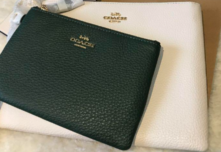 COACH DOUBLE LEATHER POUCH