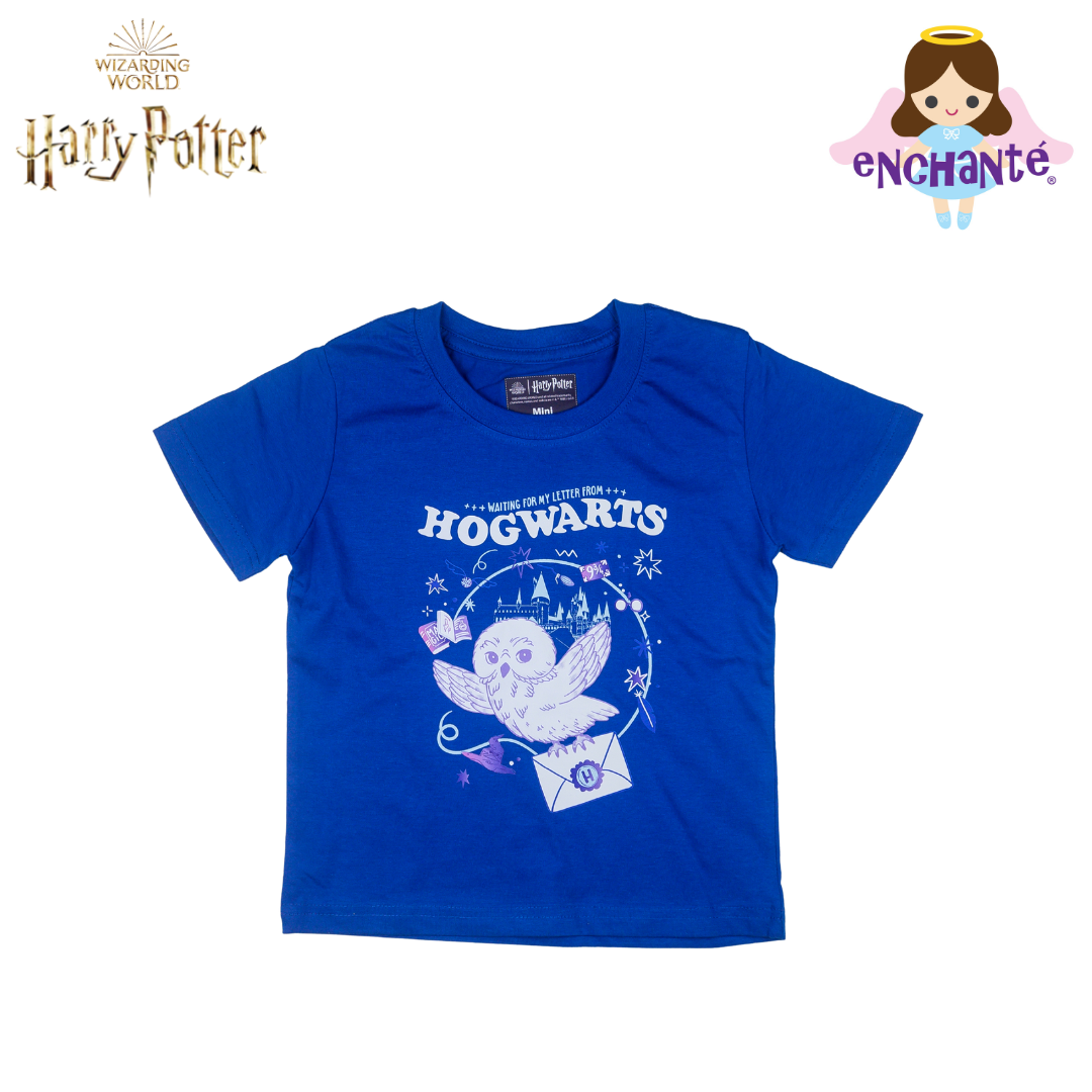 Harry Potter Hogwarts Owl Tee (Blue)