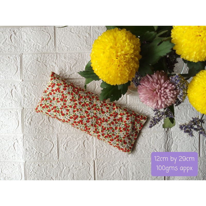 Handmade Sterile Organic Beansprout Pillow New Born Infant Gift (cars, planes,Flowers, Hello kitty, cartoon characters)