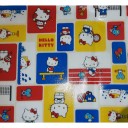 Sanrio HK Sports