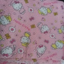 Hello kitty long pillow