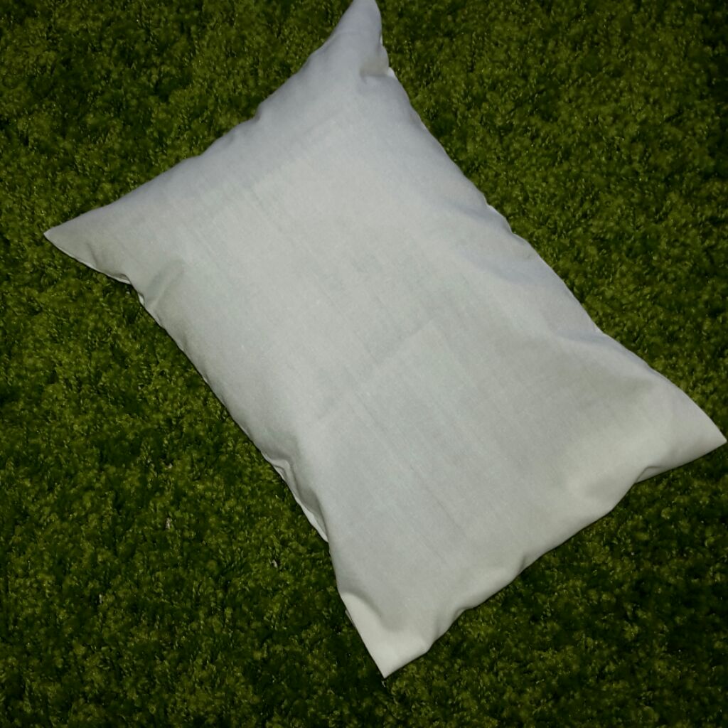 Beansprout Husk Pillow Insert (200/250g) - organic source, made in Singapore! chou chou 100% Sterile!