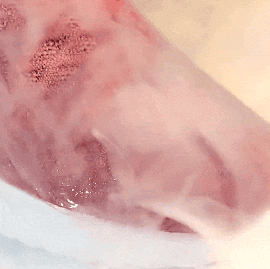 20210930163297355531206.gif