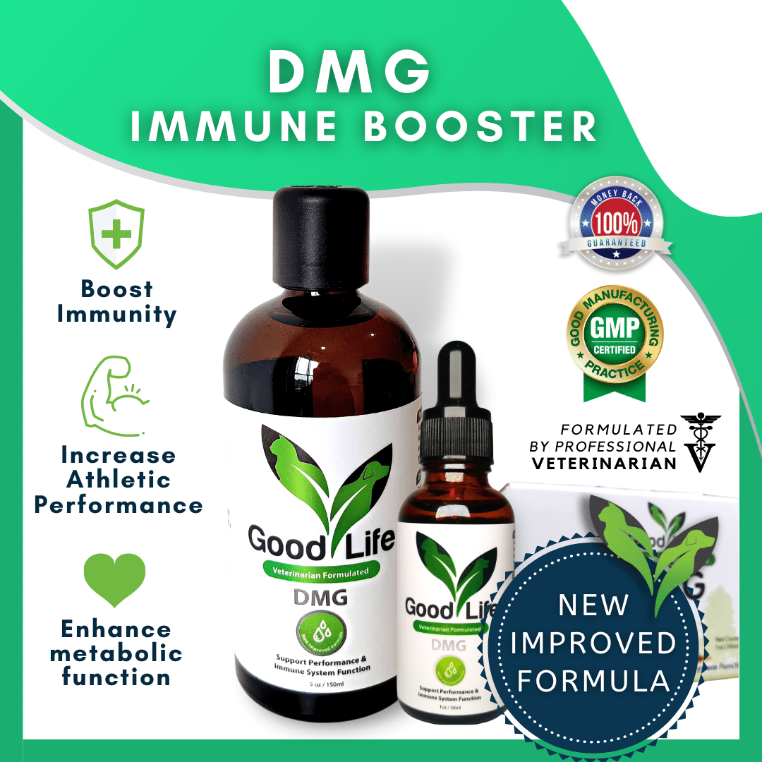 GoodLife DMG Immune Booster