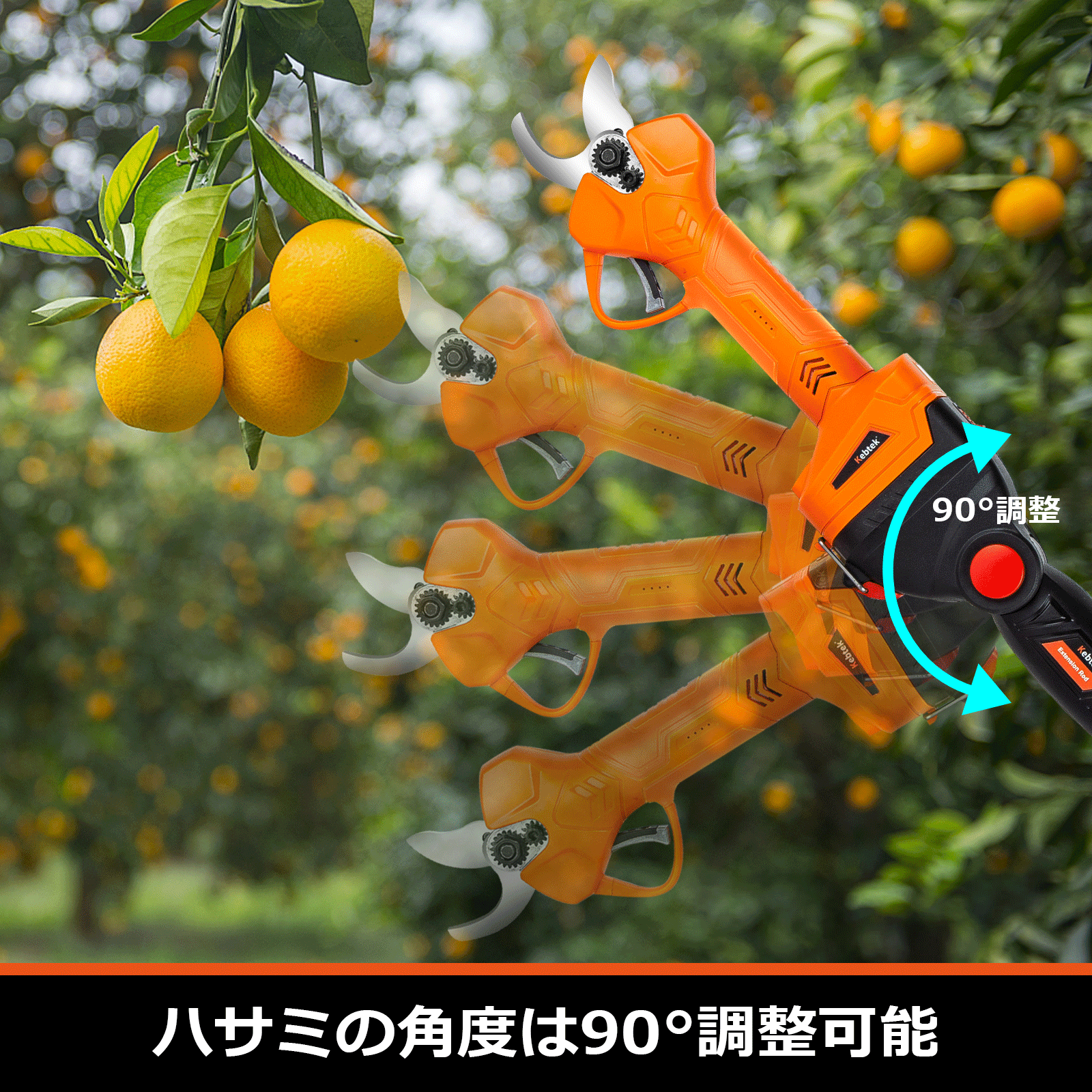 Kebtek電動剪定鋏B05532の延長ポール