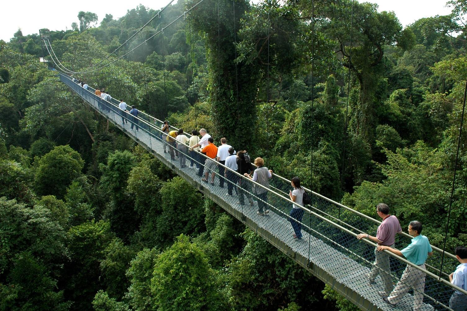 5 Hiking Trails In Singapore To Visit If You Love Nature-Sunnystep-The most comfortable walking shoes-Best walking shoes