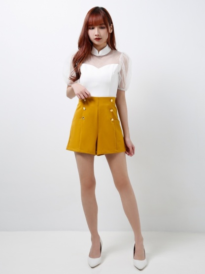 Puffy Mesh Sleeves Top