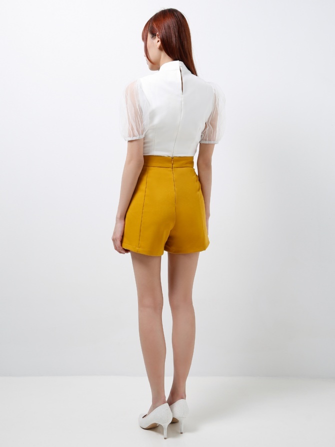 Puffy Mesh Sleeves Top