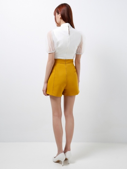 Puffy Mesh Sleeves Top